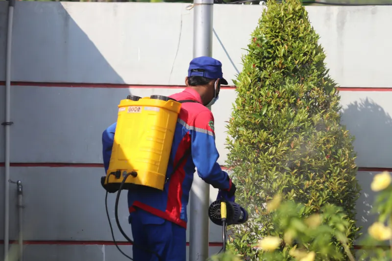 Technician applying fumigation treatment to a mature tree